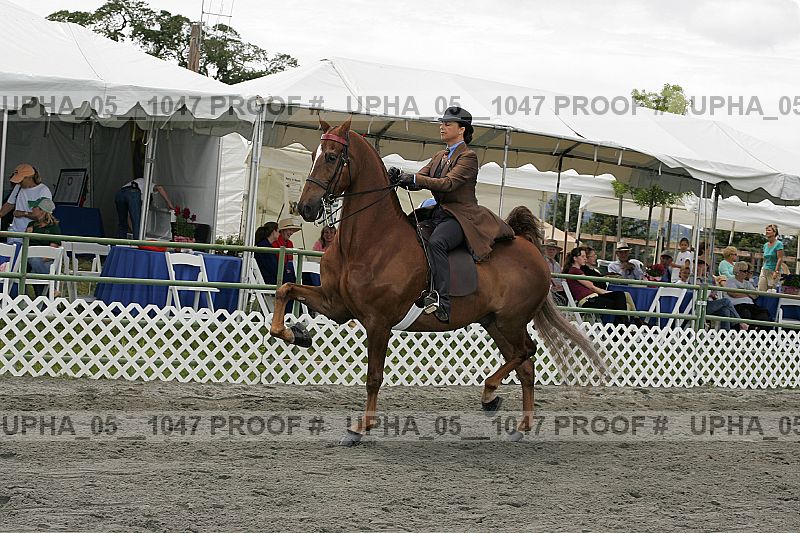 Proof Number upha_05__1047