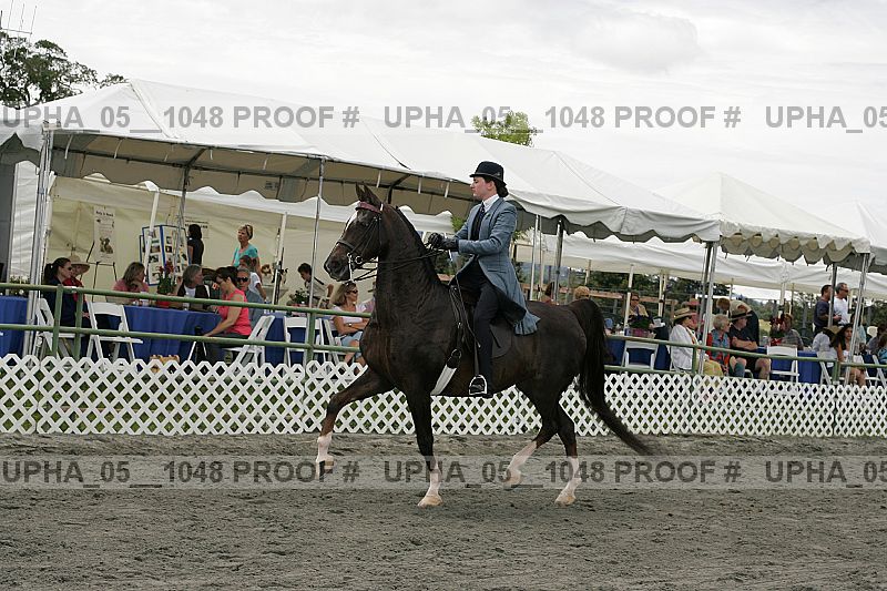 Proof Number upha_05__1048