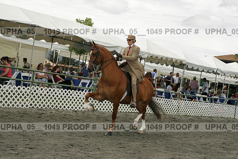 Proof Number upha_05__1049