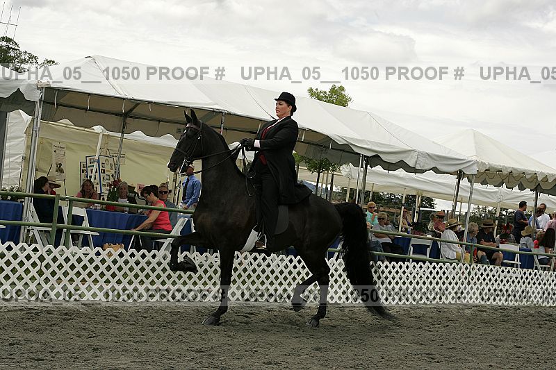 Proof Number upha_05__1050