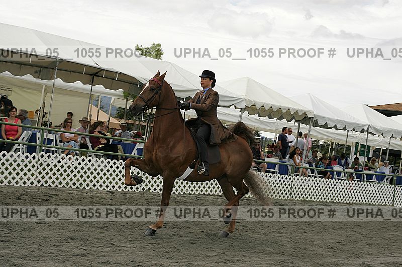 Proof Number upha_05__1055