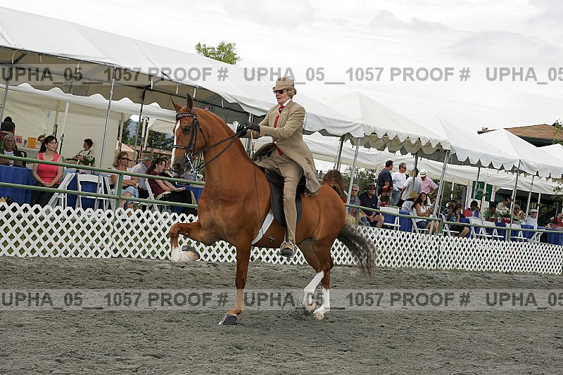 Proof Number upha_05__1057