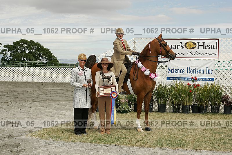Proof Number upha_05__1062