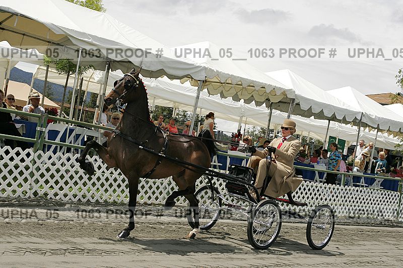 Proof Number upha_05__1063