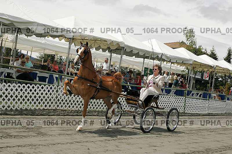 Proof Number upha_05__1064