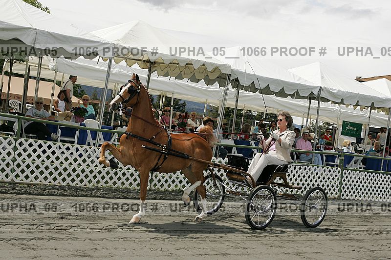 Proof Number upha_05__1066