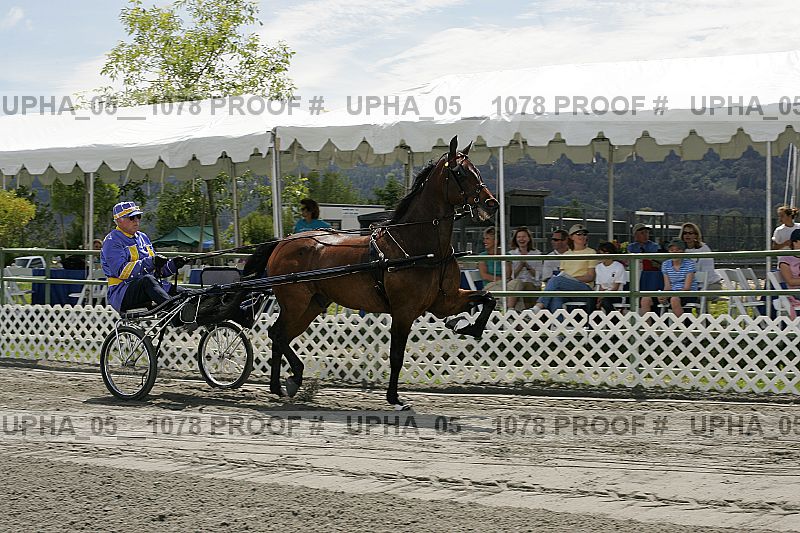 Proof Number upha_05__1078