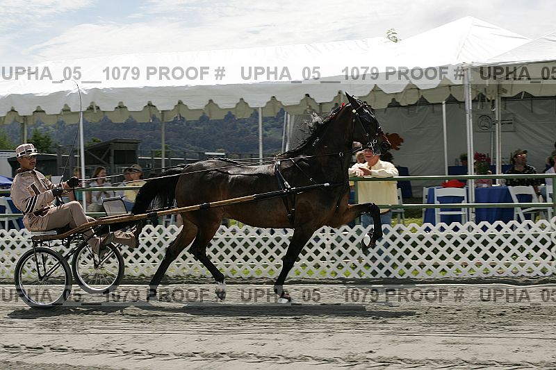 Proof Number upha_05__1079