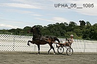 Proof Number upha_05__1085