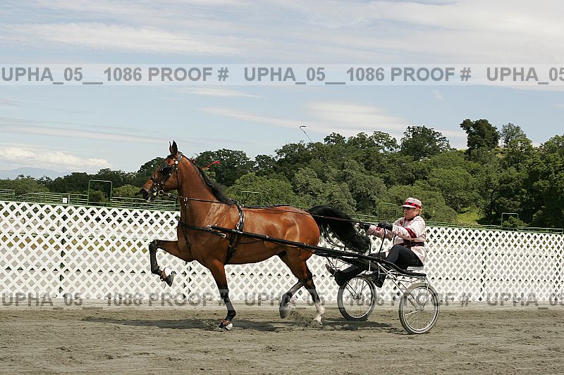 Proof Number upha_05__1086