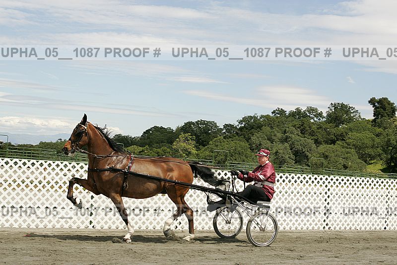 Proof Number upha_05__1087