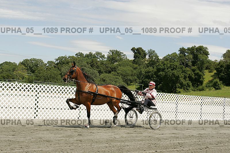 Proof Number upha_05__1089