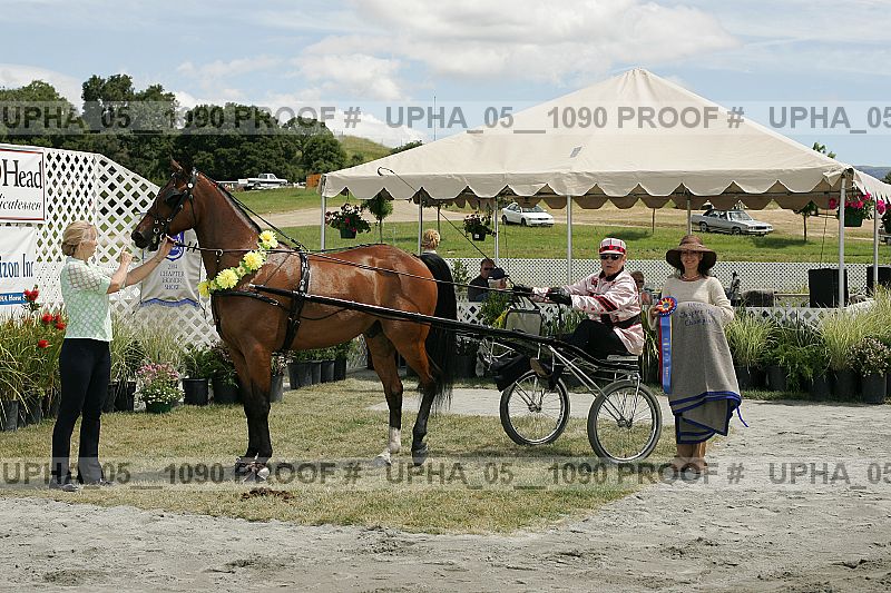 Proof Number upha_05__1090