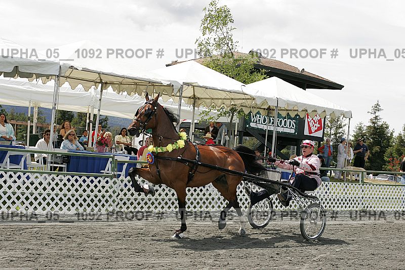 Proof Number upha_05__1092