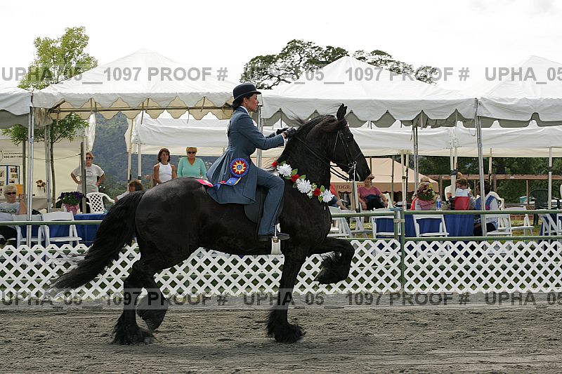 Proof Number upha_05__1097