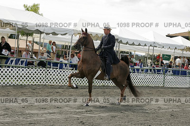 Proof Number upha_05__1098