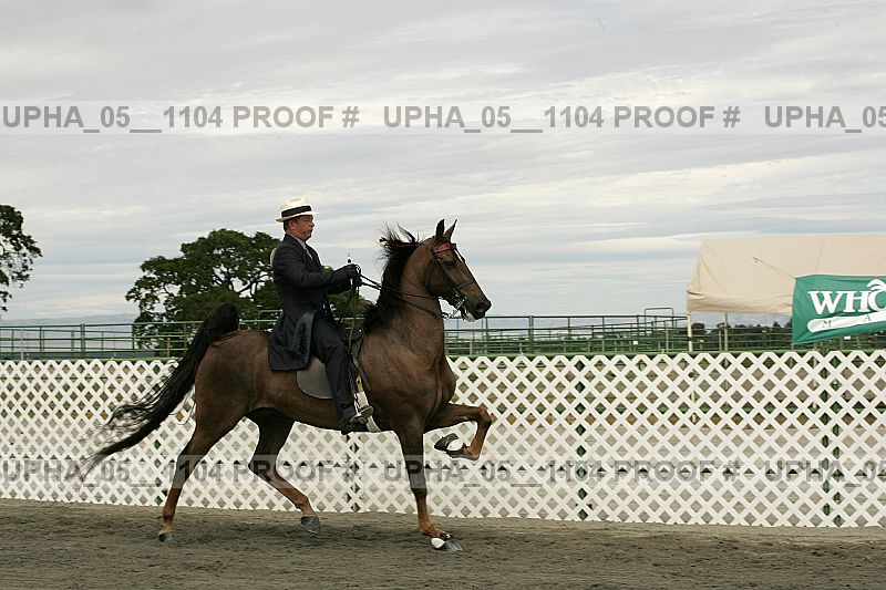Proof Number upha_05__1104