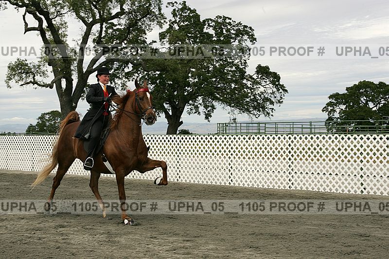 Proof Number upha_05__1105