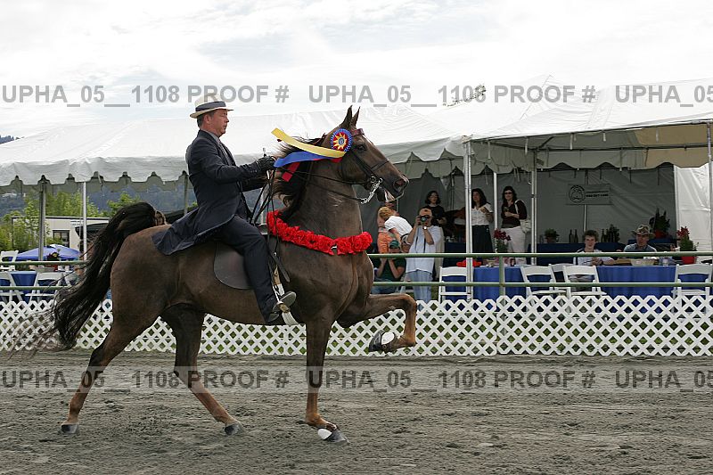 Proof Number upha_05__1108