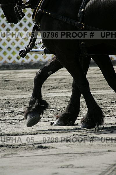 Proof Number upha_05__0796