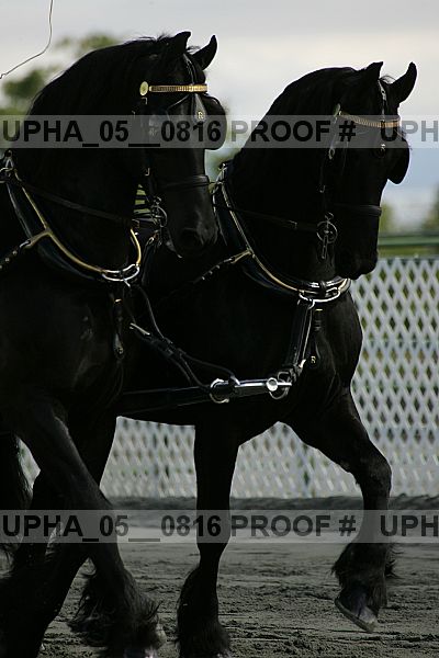 Proof Number upha_05__0816