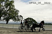 upha_05__0822 thumbnail