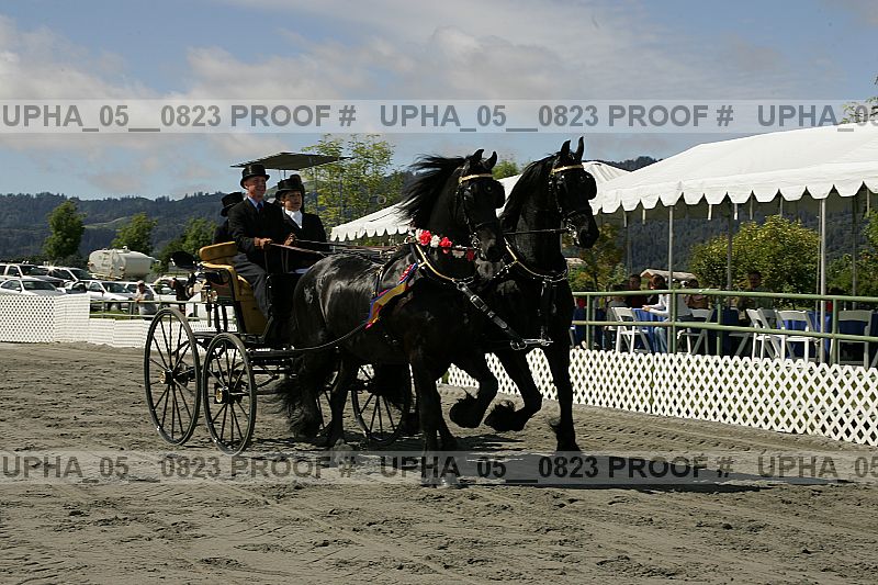 Proof Number upha_05__0823