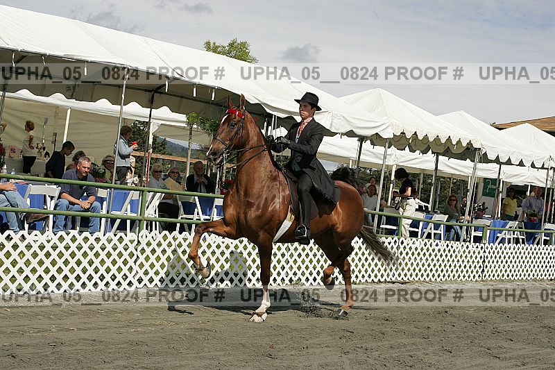 Proof Number upha_05__0824