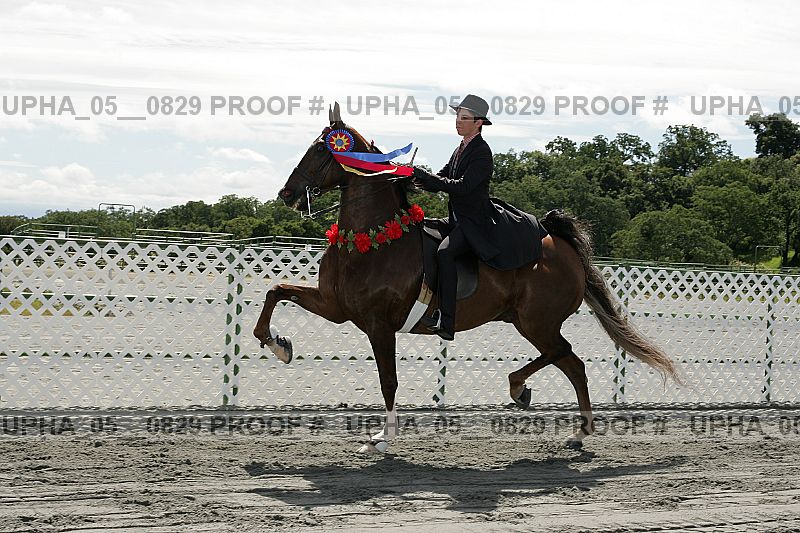 Proof Number upha_05__0829