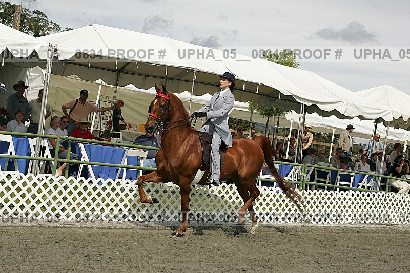 Proof Number upha_05__0834