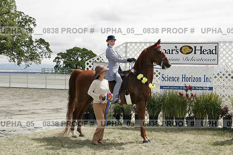 Proof Number upha_05__0838