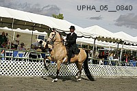 upha_05__0840 thumbnail