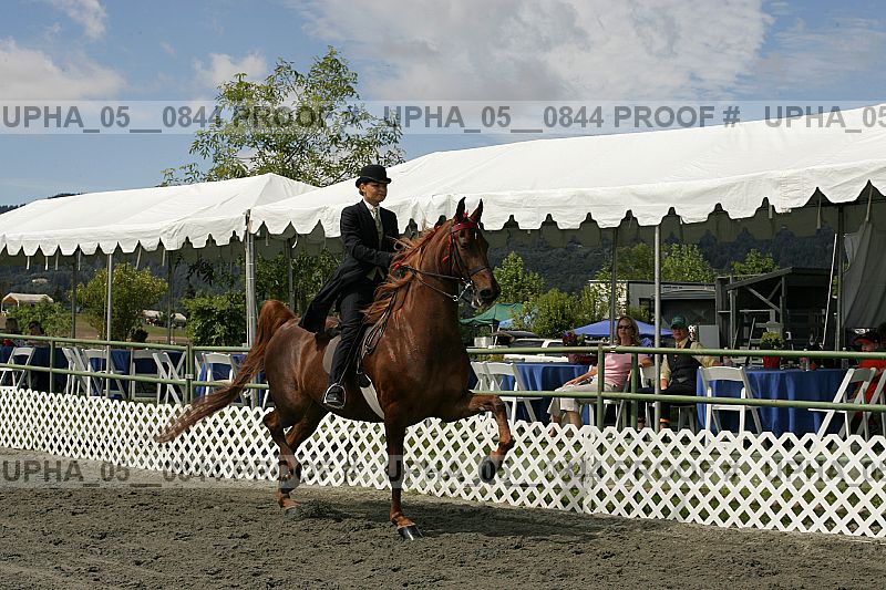 Proof Number upha_05__0844