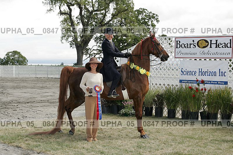 Proof Number upha_05__0847