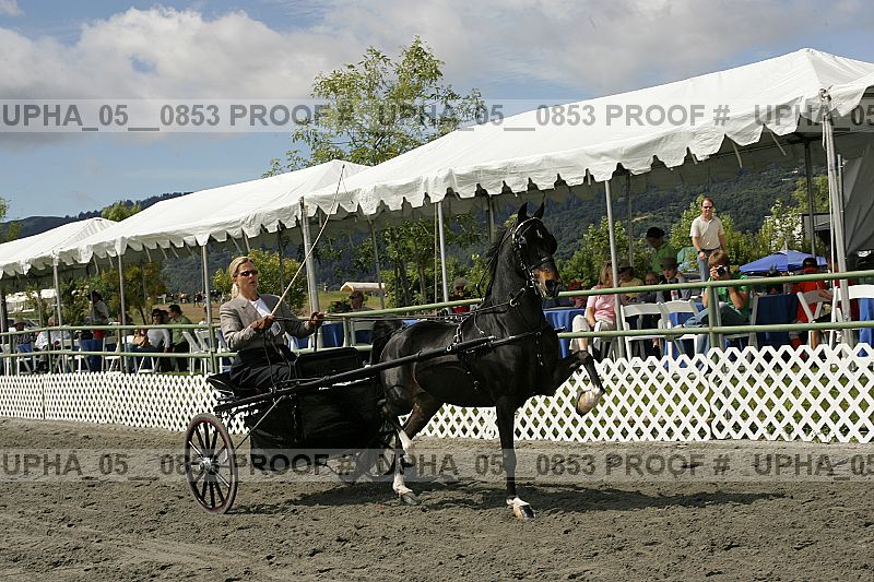 Proof Number upha_05__0853