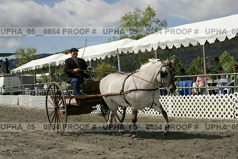 Proof Number upha_05__0854