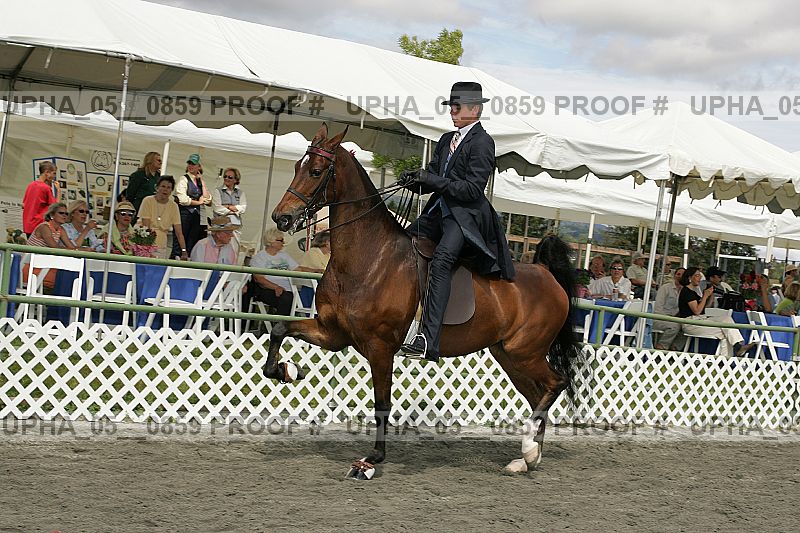 Proof Number upha_05__0859