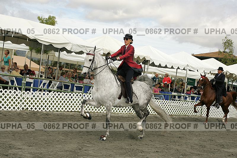 Proof Number upha_05__0862