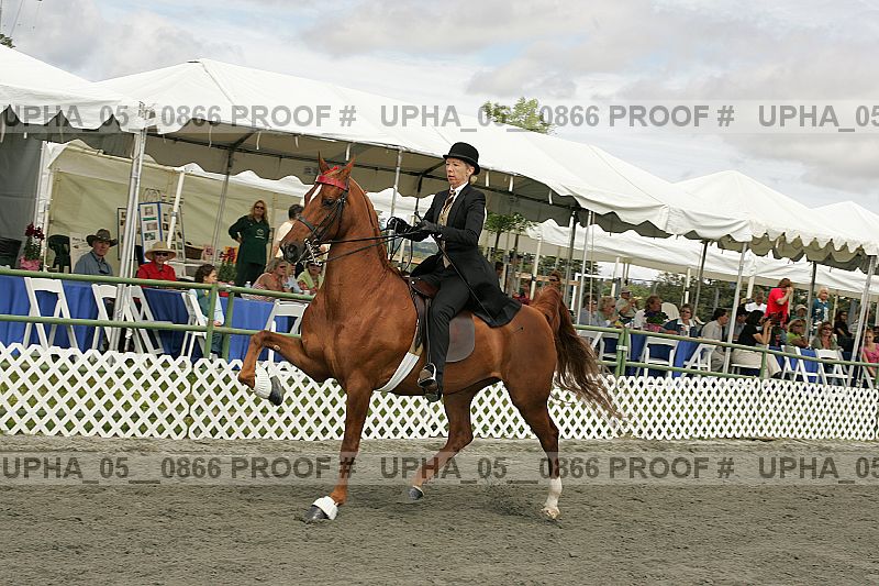 Proof Number upha_05__0866