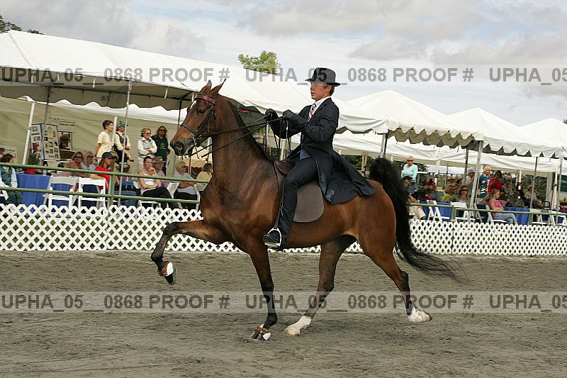 Proof Number upha_05__0868