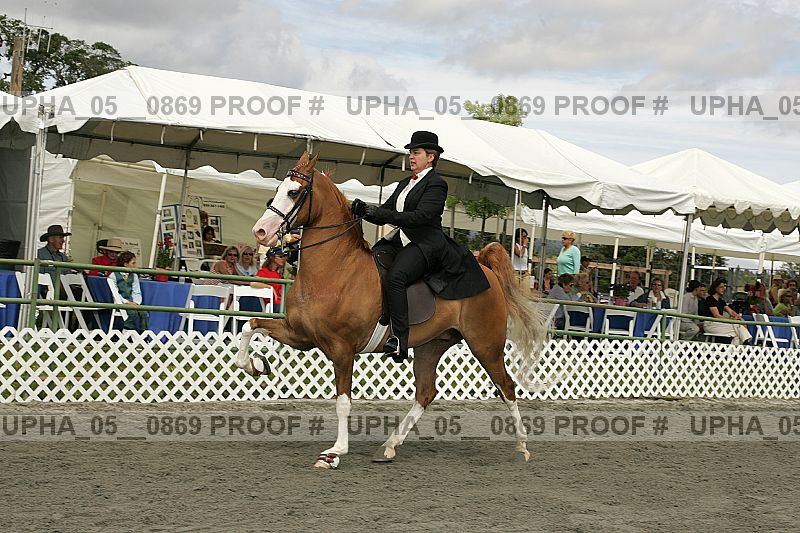 Proof Number upha_05__0869