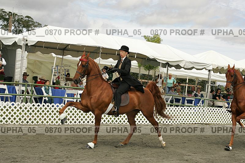 Proof Number upha_05__0870
