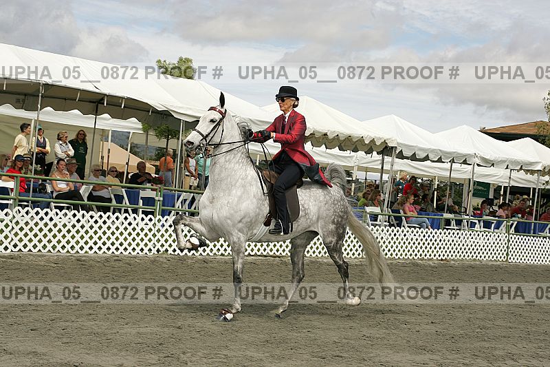 Proof Number upha_05__0872