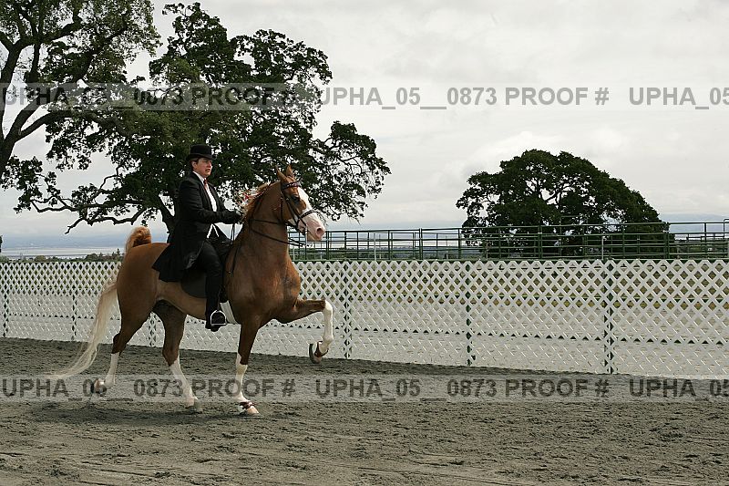 Proof Number upha_05__0873