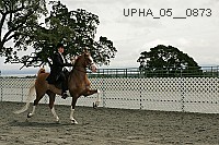 upha_05__0873 thumbnail
