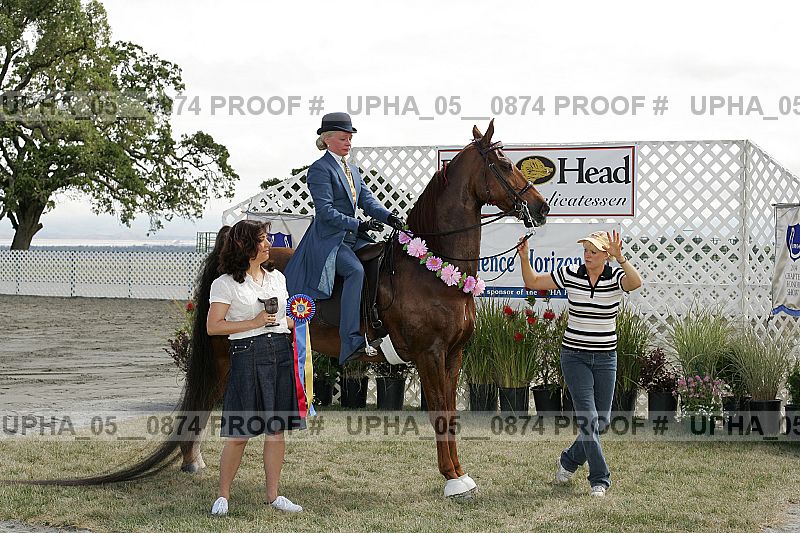 Proof Number upha_05__0874