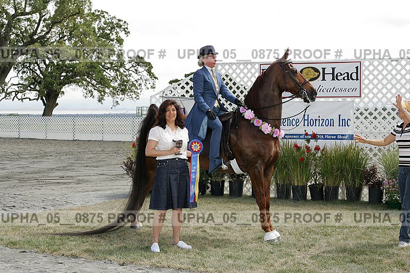 Proof Number upha_05__0875