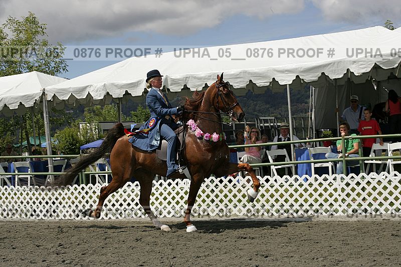 Proof Number upha_05__0876