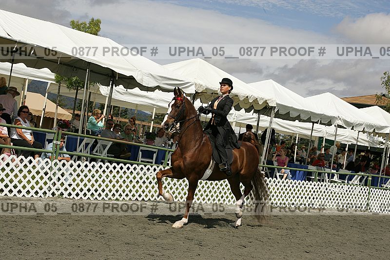 Proof Number upha_05__0877