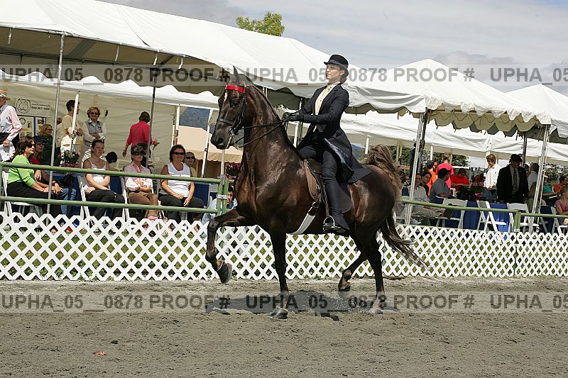 Proof Number upha_05__0878